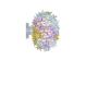 Bloom CW2 applique Kartell - foto 1