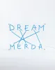 Dream pannello in plexiglass con scritta luce a Led di Seletti