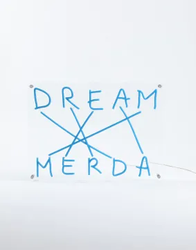 Dream pannello in plexiglass con scritta luce a Led di Seletti